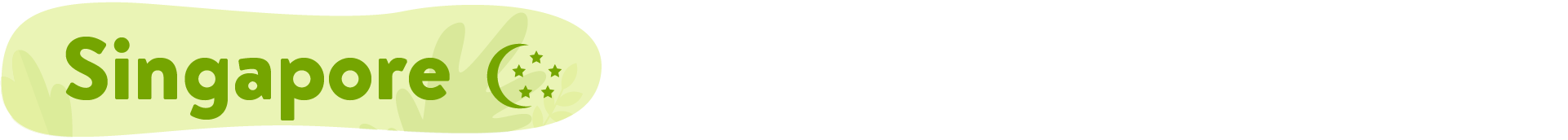 RN - SG.png